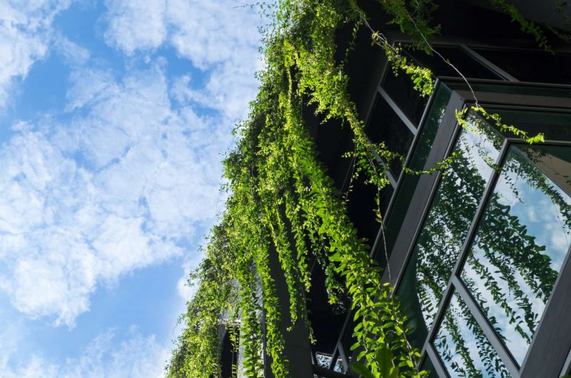Formation RSE développement durable