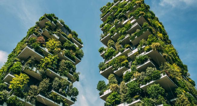 Formation RSE développement durable