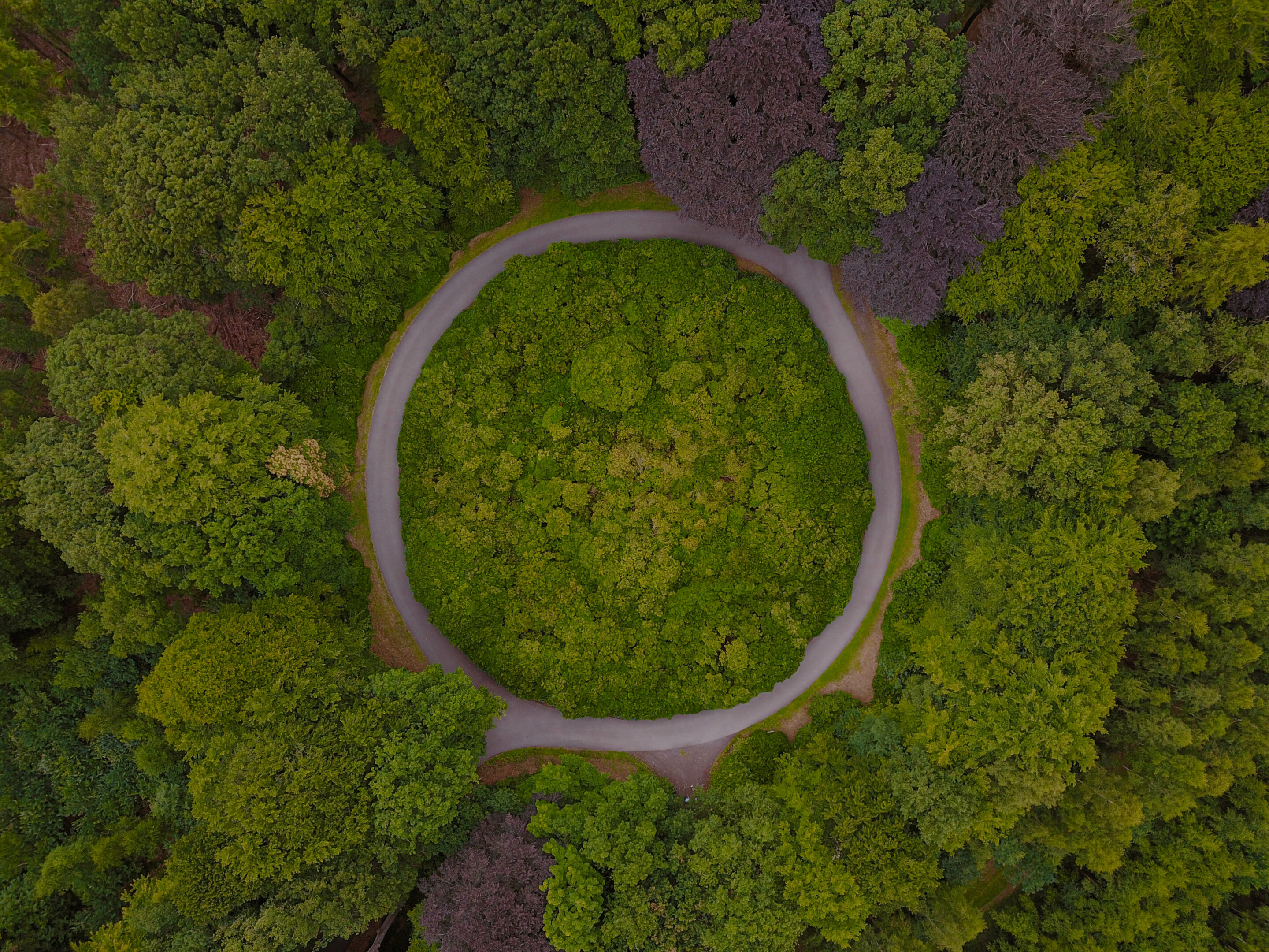 Spécialité économie circulaire